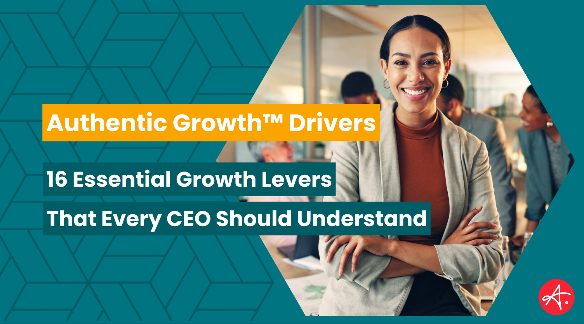 The 16 Authentic Growth™ Drivers Every CEO Should Understand